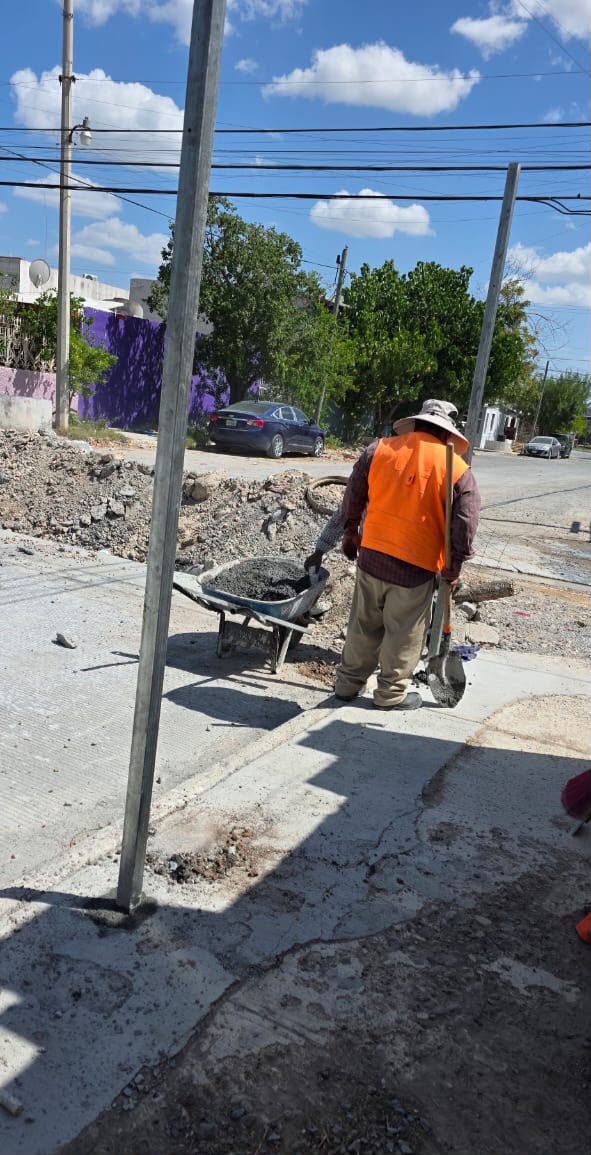 Imagen de la obra